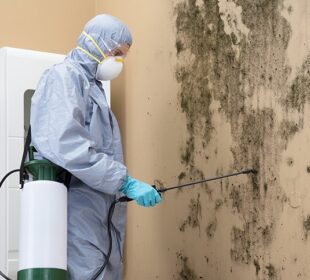 Mold Remediation