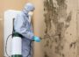Mold Remediation